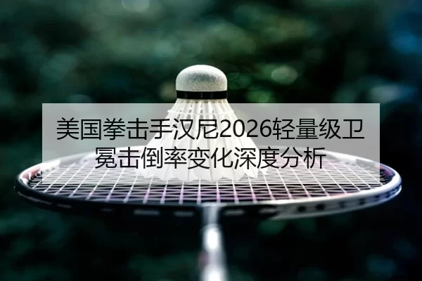 美国拳击手汉尼2026轻量级卫冕击倒率变化深度分析