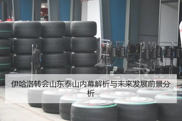 伊哈洛转会山东泰山内幕解析与未来发展前景分析