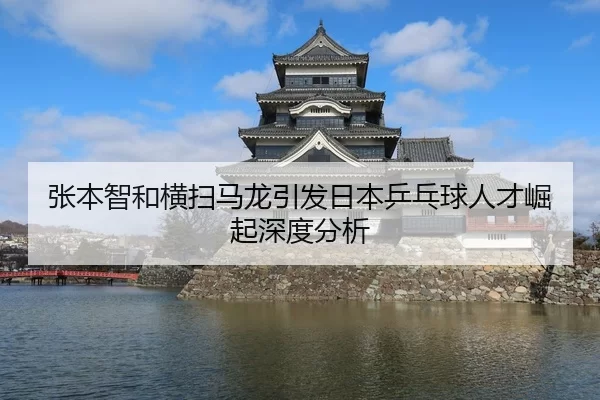 张本智和横扫马龙引发日本乒乓球人才崛起深度分析